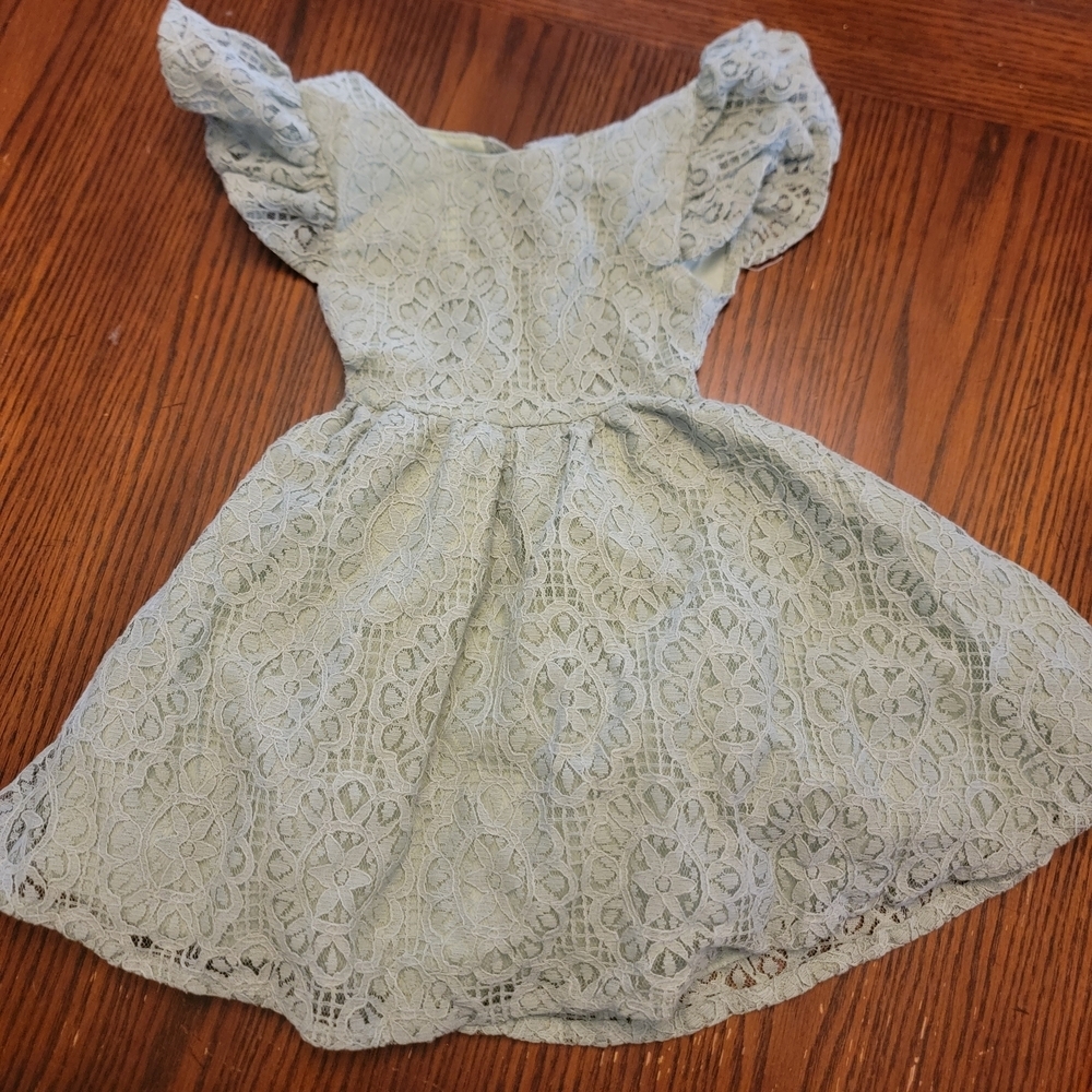 Light Sage Green Lace Fit & Flare Dress with Flutter Sleeves Size 12 Months